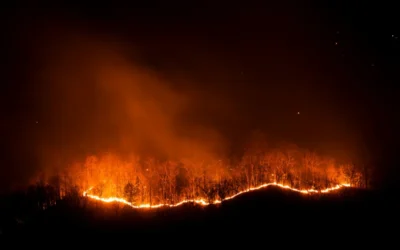 Incêndios florestais no Brasil em 2024: recordes preocupantes e ações necessárias